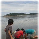 임진체육관 이미지