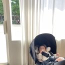 유호체육관 네이버블로그