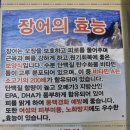 민물 장어 명가 이미지