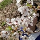 해운대 센트럴호텔 이미지