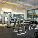 곤조(GONZO)PT 이미지