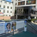 로고스교회 건너편 횡단보도 이미지