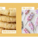 버터풀마인드 이미지