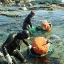 제주외가 이미지