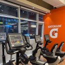 파인드짐 | 🔥마곡PT 찾는다면 여기 파인드짐 마곡점 후기💪