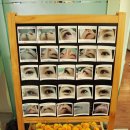 압구정도추한의원 이미지