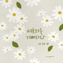 근원목장 이미지