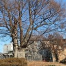 태조목장 이미지