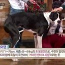 써니의베란다이야기