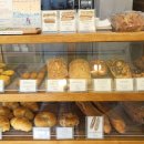 주정차 단속 - 032 이미지