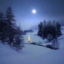 뜰가득한 이미지