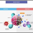 카인넥스 이미지
