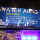생생통삼겹 이미지