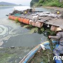 도동1리 마을회관 앞 이미지