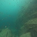 학포길 | 펀펀다이브클럽 울릉도 스쿠버다이빙 투어 후기 (9/12~15 학포다이브리조트)