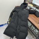 크린토피아코인워시365고양