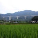 웅치마을길 이미지