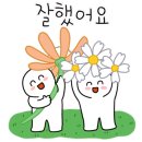 신신타이어 네이버블로그