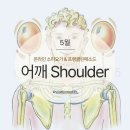 소마요가 | <소마요가 &amp; 프랭클린메소드> 5월 어깨Shoulder 리뷰