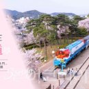 진해중앙시장(추가설치) 이미지