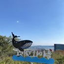 CU장생포고래점 | [울산 여행] 안나와 함께 한 장생포 고래 박물관 / 고래문화마을 / 태화강 동굴피아(feat. 울산해피관광...