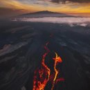 제네농장 이미지