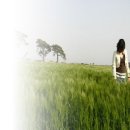 한아름전마을 이미지