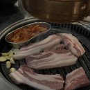 여기오면돈돼지 이미지