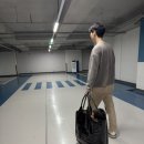 장바구니마트 | 아이도 끄는 마트카트! 바퀴달린 방수 장바구니 솔직 후기
