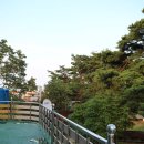 큰소나무민박 이미지