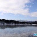 화진포막국수 이미지