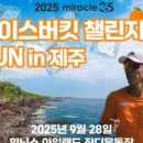 365아이스 이미지