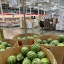 코스트코 대구혁신점 이미지