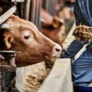 이수동물병원 이미지