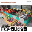 언양상회 티스토리