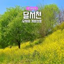 비산119안전센터 | 대구 유채꽃 명소 달서천 개화상황 사진 포인트 총정리