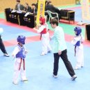 새하늘용인대태권도 이미지