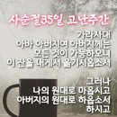 원대로-4 이미지