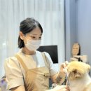 바니이발소 시선뉴스