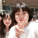 미지니 이미지