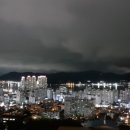 완월동103 이미지