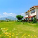 흐르는 강물을 바라 이미지