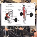 알파짐(ARPA GYM) 이미지