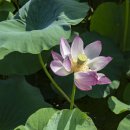 전주역 관광안내소 이미지