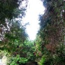 구좌공설묘지 이미지