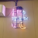 봄날애견 이미지