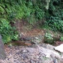 토산1리 이미지