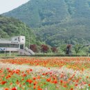 구)양보역 이미지