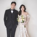 노마셀 이미지