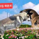 영덕종합동물병원 이미지